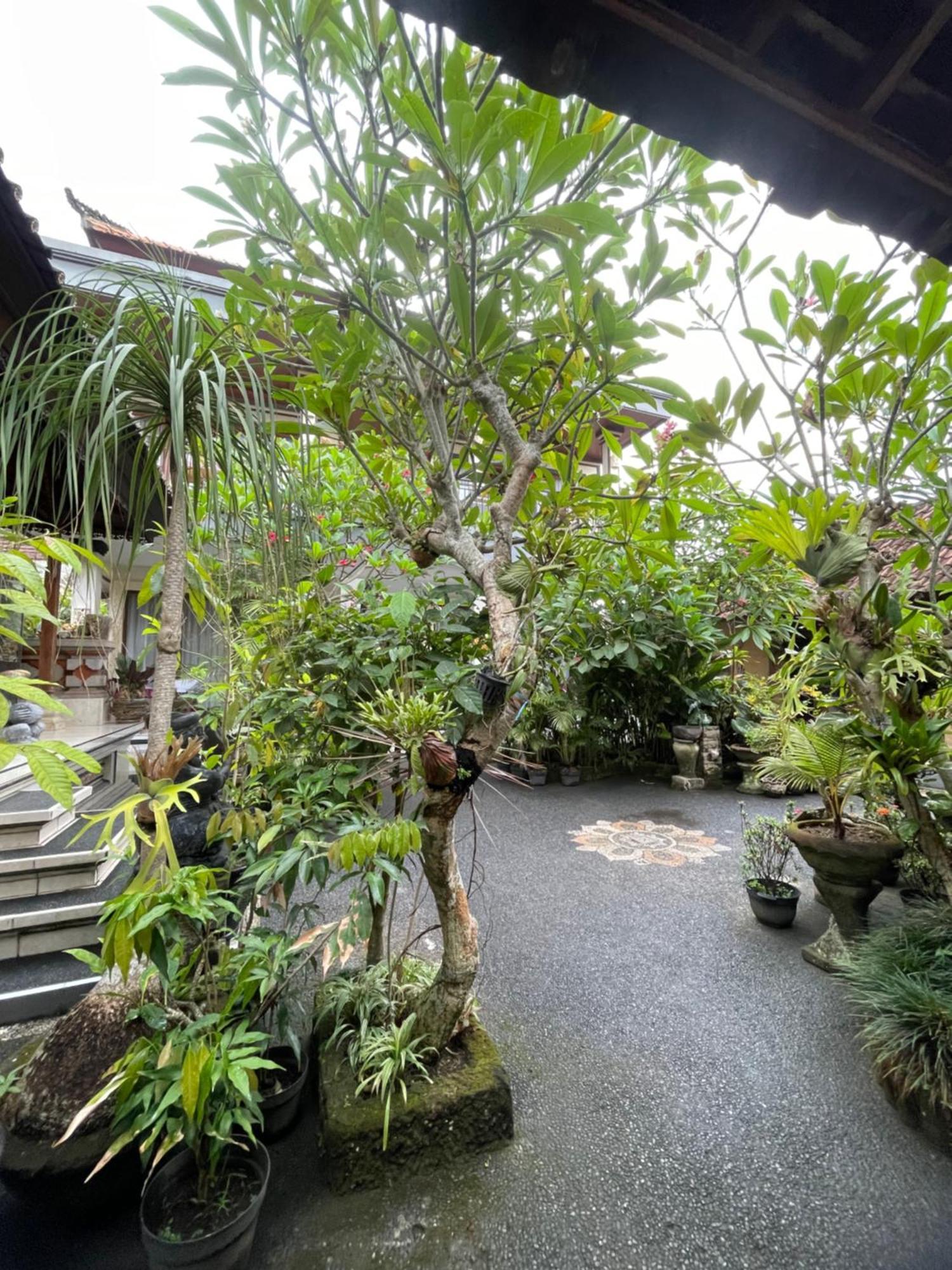 Suntari Homestay Убуд Екстериор снимка